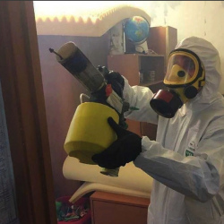 Уничтожение клопов в квартире. Тимирязевский район 